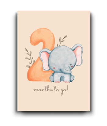 Two Months to Go – Beautiful Pregnancy Card!